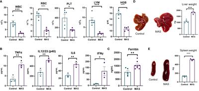 Identification of miRNAs that target Fcγ receptor-mediated phagocytosis during macrophage activation syndrome